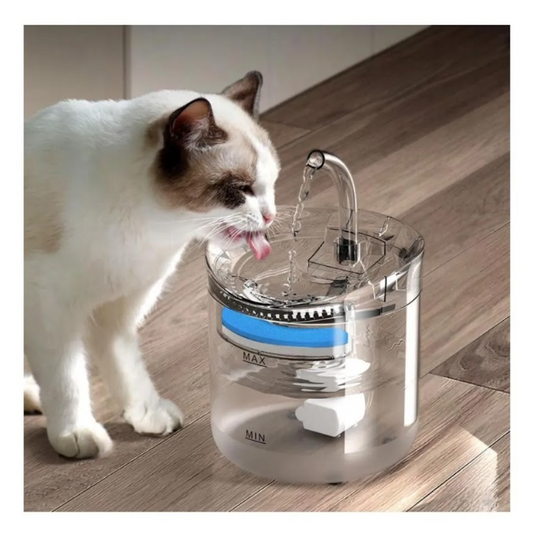 Fuente para gatos y perros transparente